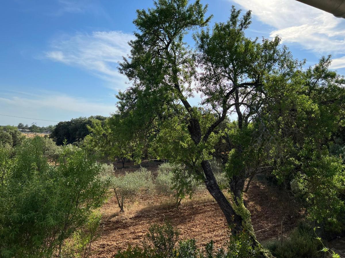 Villa Mas Coeur De Provence Calme Luxe Grand Parc Pernes-les-Fontaines Esterno foto