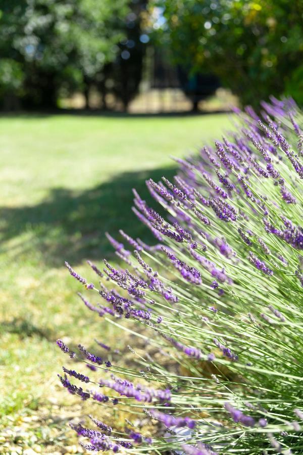 Villa Mas Coeur De Provence Calme Luxe Grand Parc Pernes-les-Fontaines Esterno foto