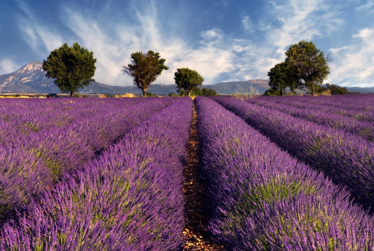 Villa Mas Coeur De Provence Calme Luxe Grand Parc Pernes-les-Fontaines Esterno foto